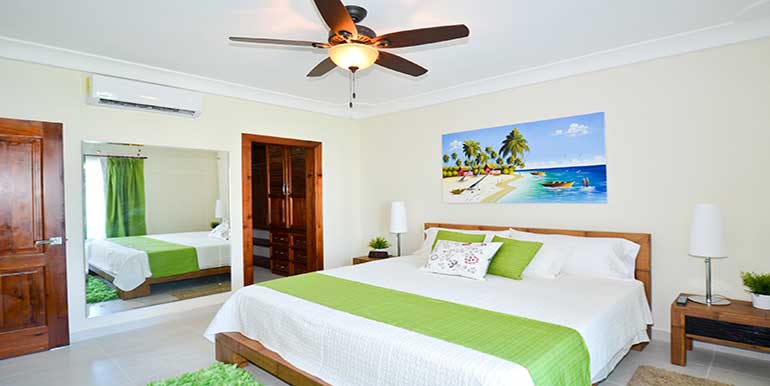 Sol Tropical C4 gallery image