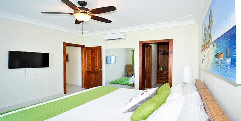 Sol Tropical C4 gallery image