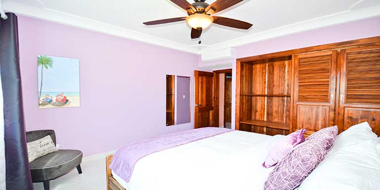 Sol Tropical I1 gallery image